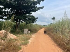 10 Plots of Land at Ogbaku Ejemekuru Owerri by MC CAPITAL Properties Limited