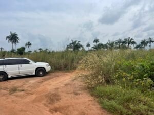 10 Plots of Land at Ogbaku Ejemekuru Owerri by MC CAPITAL Properties Limited