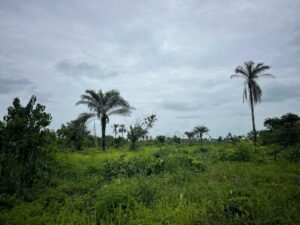 Plots of Land For Sale at Ogbaku Ejemekuru by MC CAPITAL Properties Limited