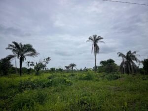 Plots of Land For Sale at Ogbaku Ejemekuru by MC CAPITAL Properties Limited