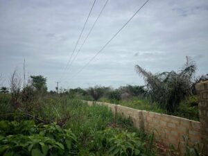 Plots of Land For Sale at Ogbaku Ejemekuru by MC CAPITAL Properties Limited