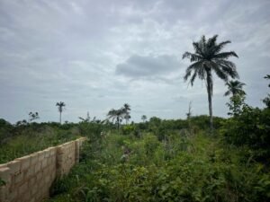 Plots of Land For Sale at Ogbaku Ejemekuru by MC CAPITAL Properties Limited