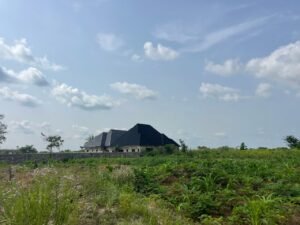 Plots of Land for sale in Avu Owerri imo state nigeria by MC CAPITAL PROPERTIES LIMITED